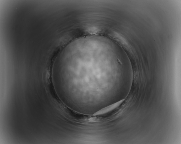 X0000088490365200705291652