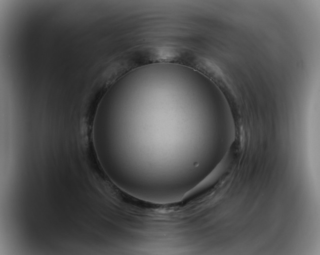 X0000088490366200705291652