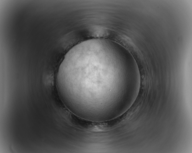 X0000088490368200705291652