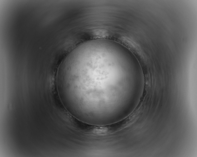 X0000088490369200705291652