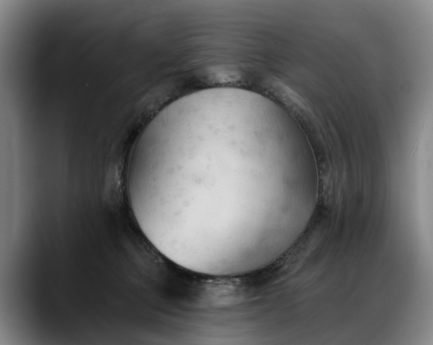 X0000088490373200705291653