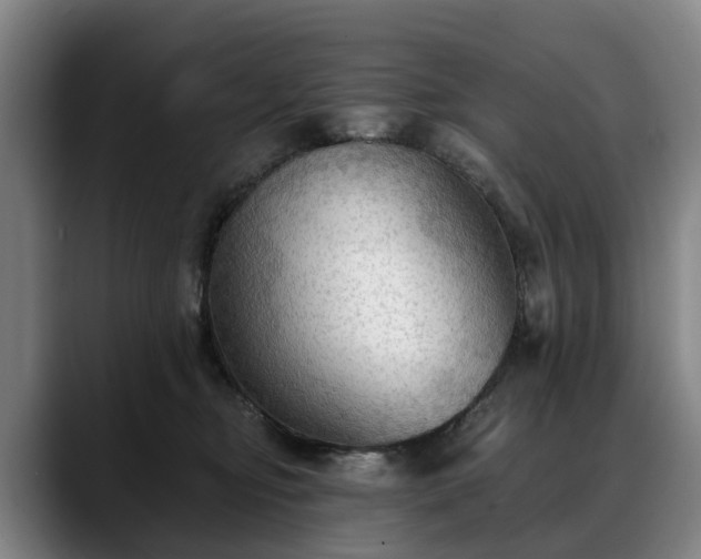X0000088490374200705291653
