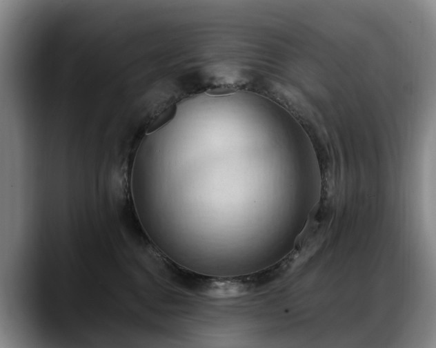 X0000088490376200705291653