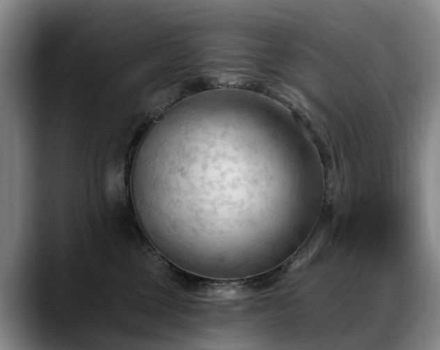 X0000088490377200705291653