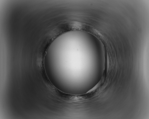 X0000088490379200705291653