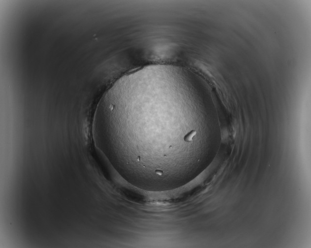 X0000088490380200705291653