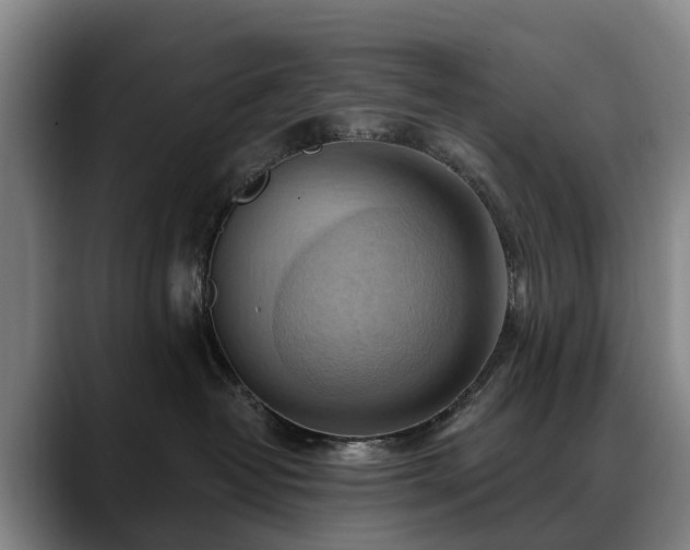 X0000088490382200705291653