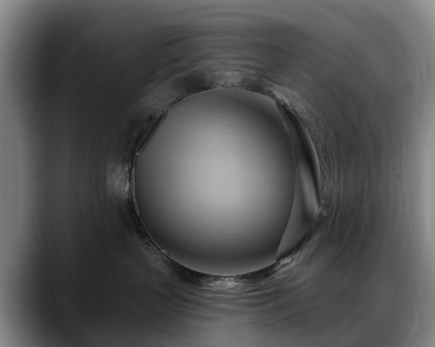 X0000088490383200705291653