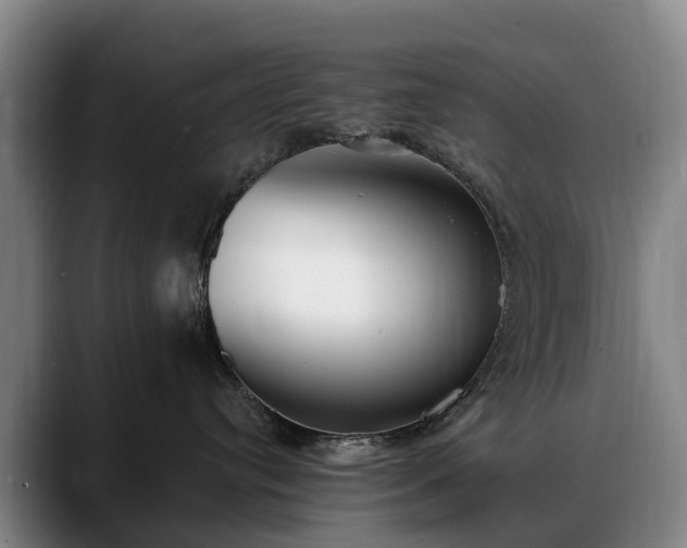 X0000088490384200705291653