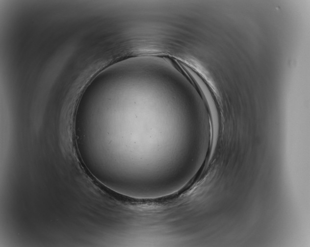 X0000088490385200705291652