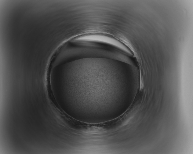 X0000088490387200705291652