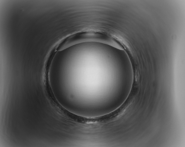X0000088490388200705291652