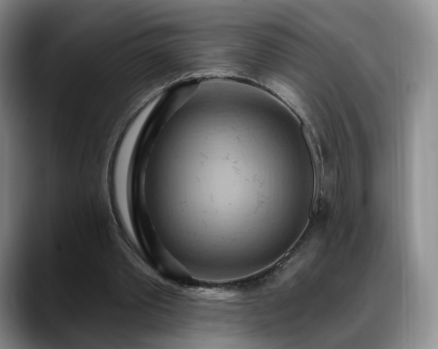 X0000088490389200705291652