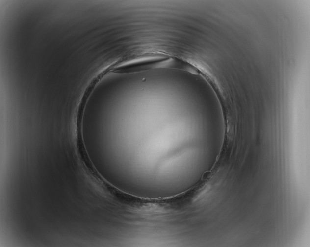 X0000088490390200705291652