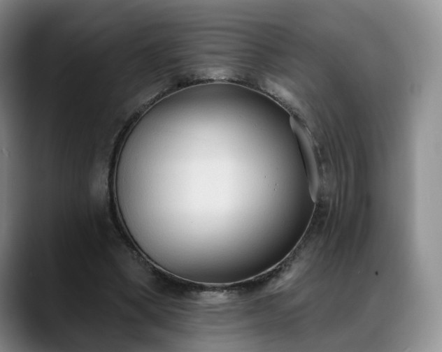 X0000088490394200705291652