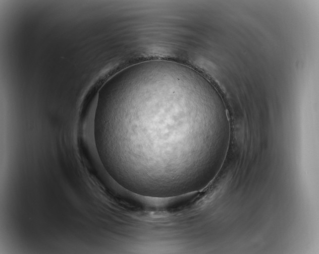 X0000088490395200705291652