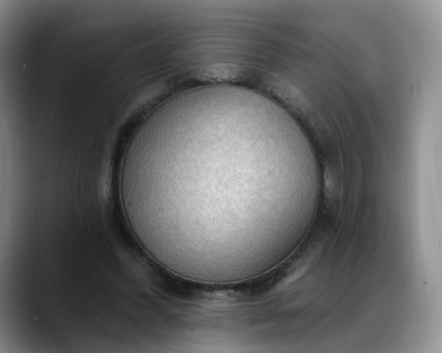 X0000088490396200705291652