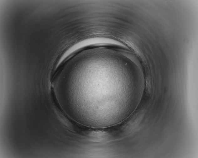 X0000088490397200705291652