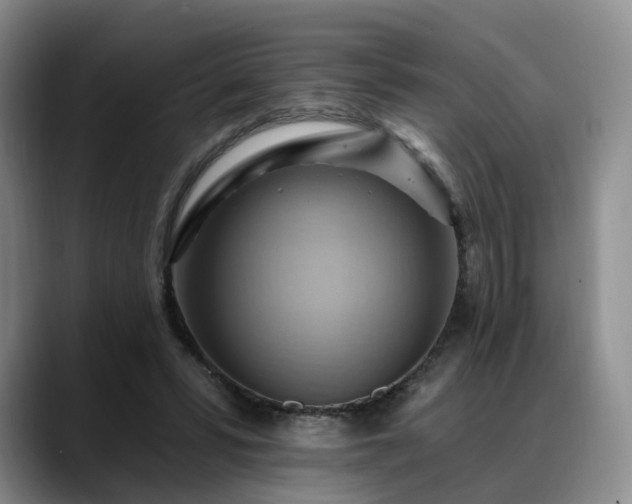 X0000088490399200705291652