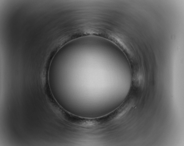 X0000088490402200705291652