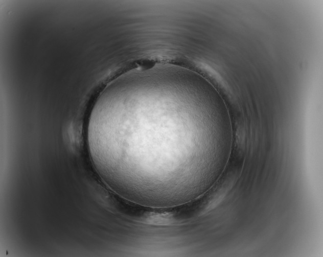 X0000088490403200705291652