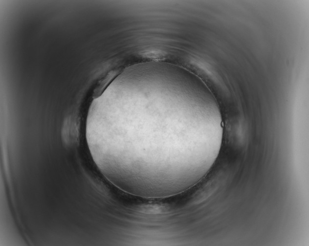 X0000088490404200705291652