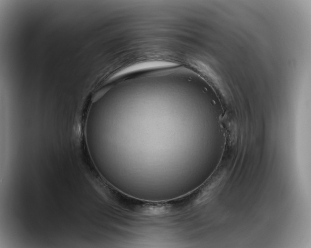 X0000088490405200705291652