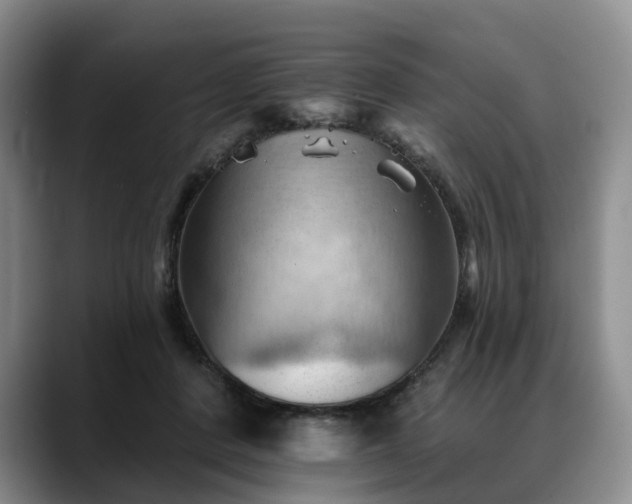 X0000088490408200705291652