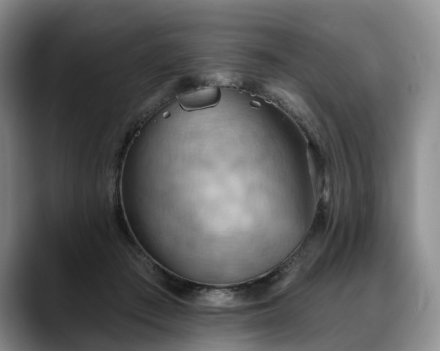X0000088490409200705291652