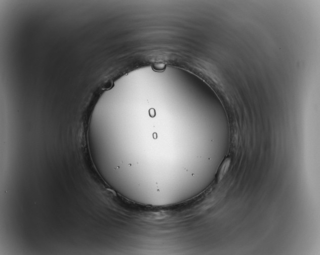 X0000088490411200705291652