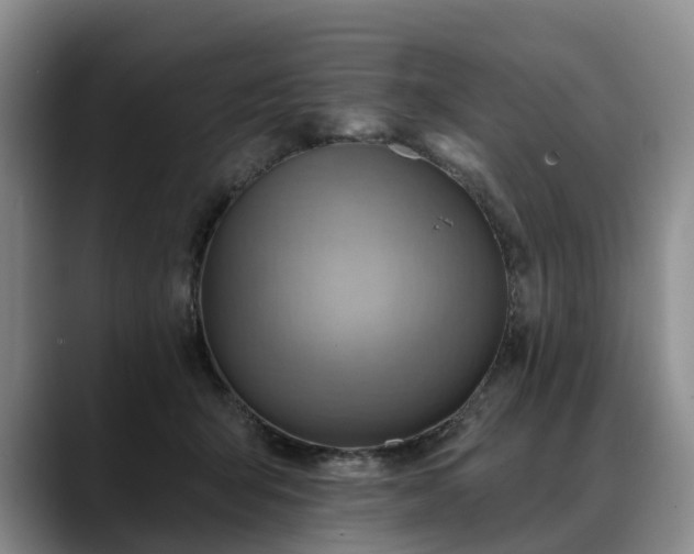 X0000088490415200705291652