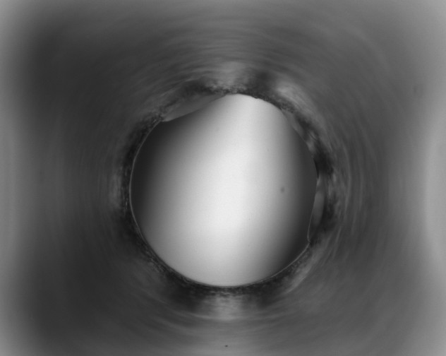 X0000088490416200705291652