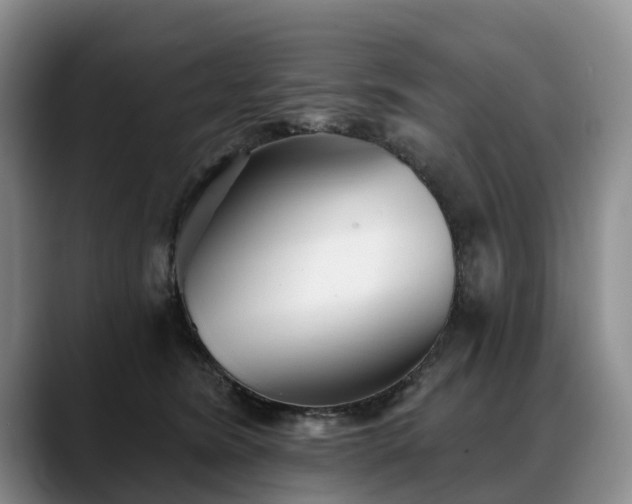 X0000088490420200705291652