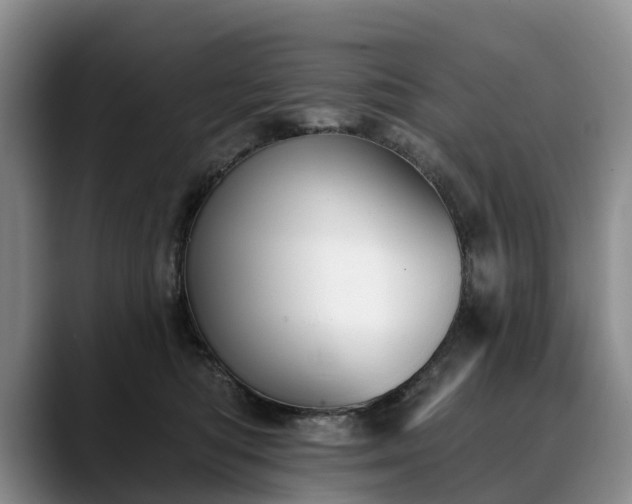X0000088490422200705291652