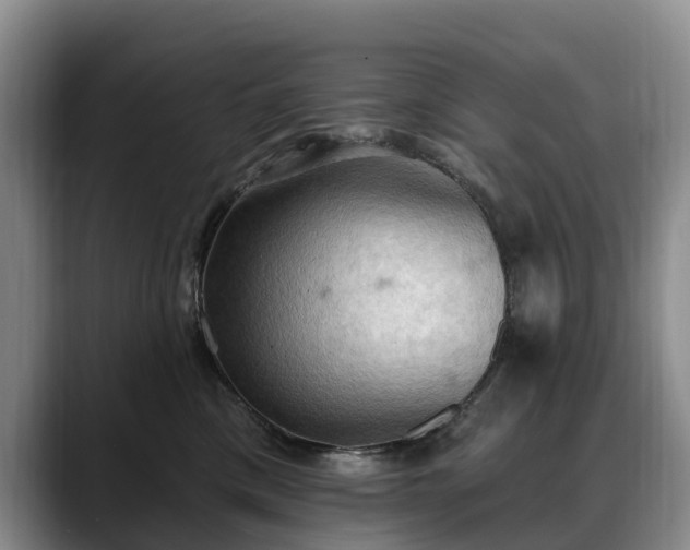 X0000088490425200705291652