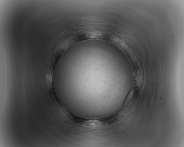X0000088490427200705291651