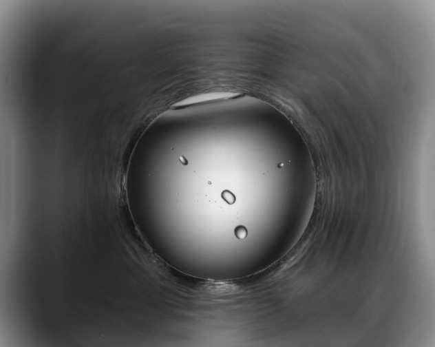 X0000088490429200705291651