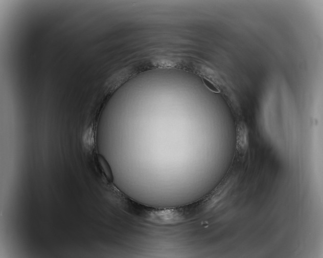 X0000088490431200705291651