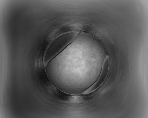 X0000088490432200705291651