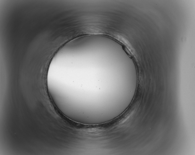X0000088490433200705291651