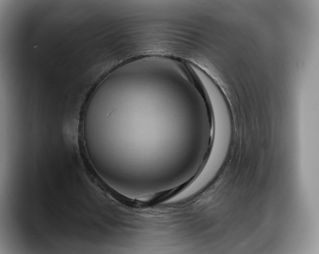 X0000088490434200705291651