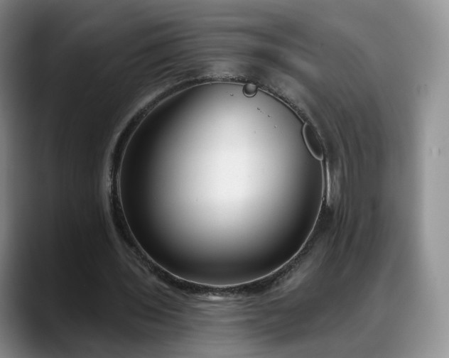 X0000088490435200705291651