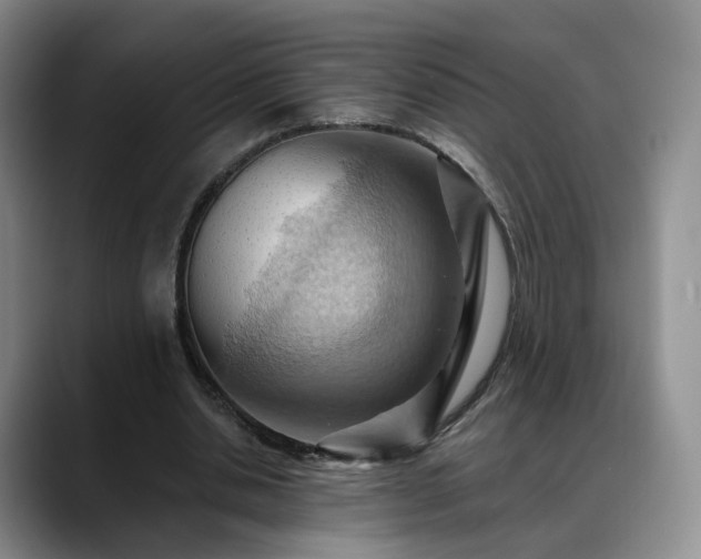 X0000088490438200705291651