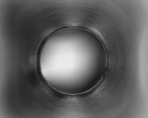 X0000088490439200705291651