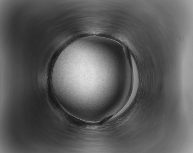 X0000088490440200705291651
