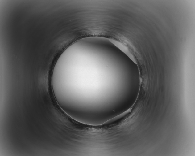 X0000088490442200705291651