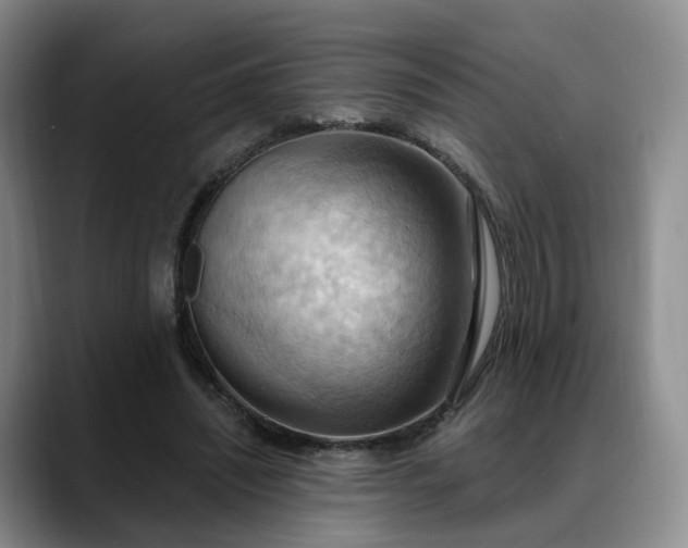 X0000088490444200705291651