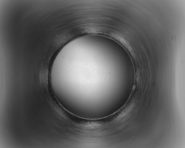X0000088490445200705291651