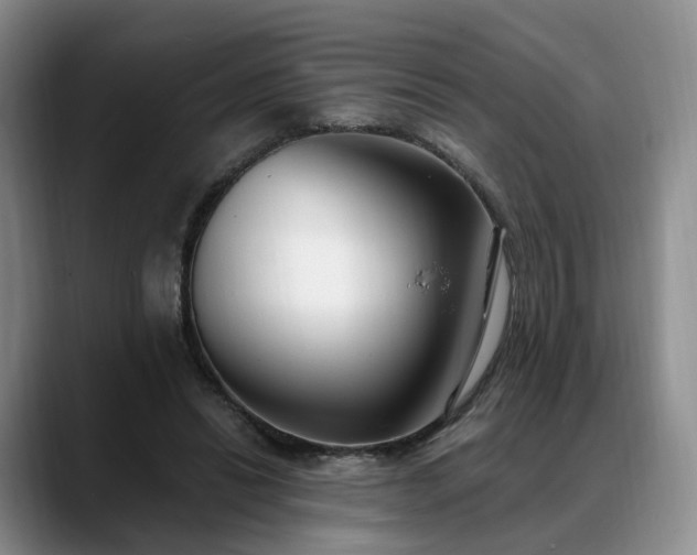 X0000088490446200705291651