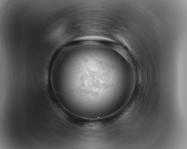 X0000088490447200705291651